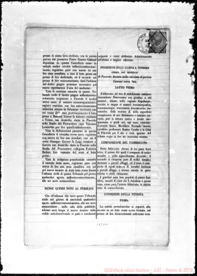 Fotogramma D 11