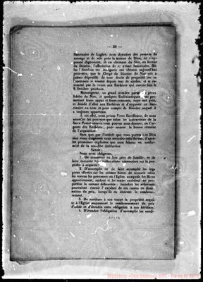 Fotogramma C 4