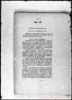 Fotogramma C 11