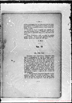 Fotogramma C 1
