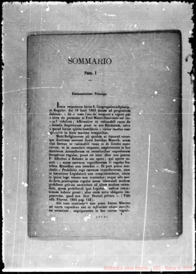 Fotogramma D 6