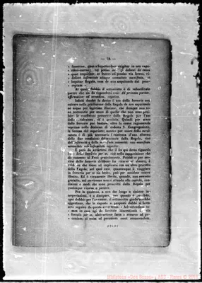 Fotogramma D 9