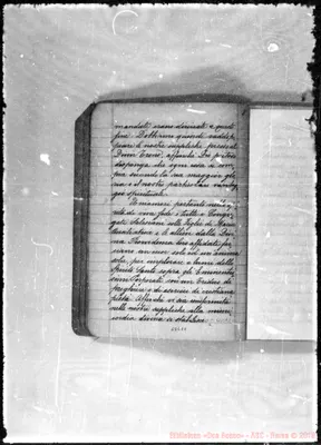 Fotogramma E 7