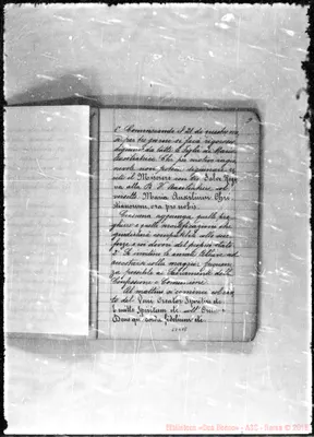 Fotogramma E 8
