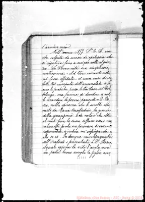 Fotogramma D 5
