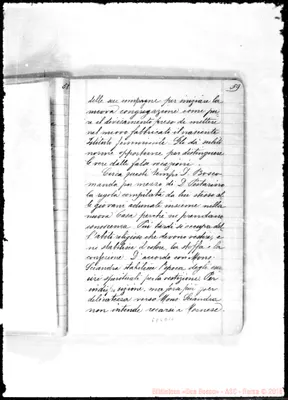 Fotogramma D 10