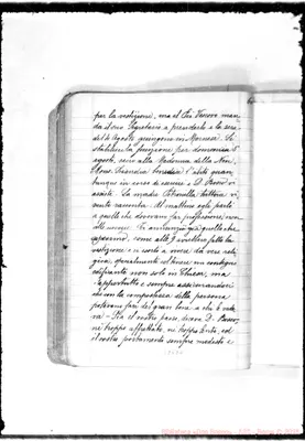 Fotogramma D 11