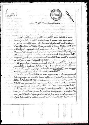 Fotogramma D 8