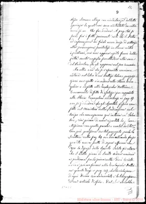 Fotogramma C 8