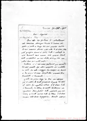 Fotogramma C 11