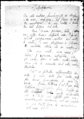 Fotogramma E 8