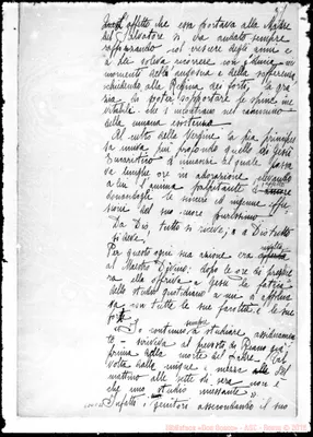 Fotogramma C 11