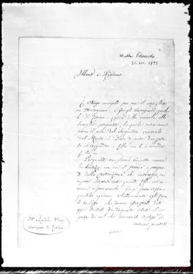 Fotogramma D 11