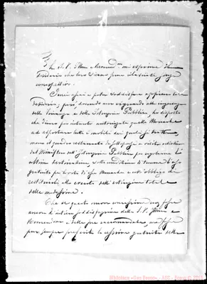 Fotogramma D 5