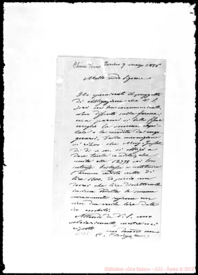 Fotogramma D 5