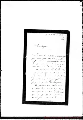 Fotogramma D 11