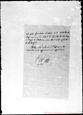 Fotogramma D 8