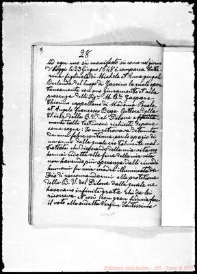 Fotogramma C 8