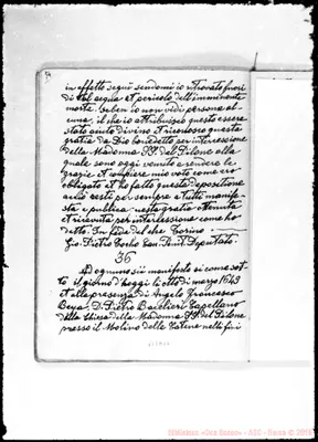 Fotogramma D 12