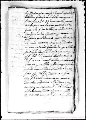 Fotogramma D 3