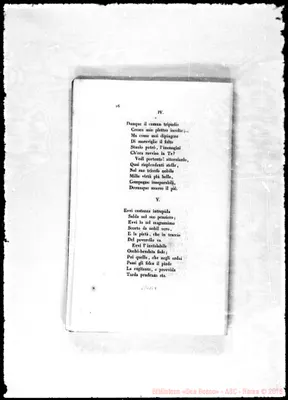 Fotogramma B 4