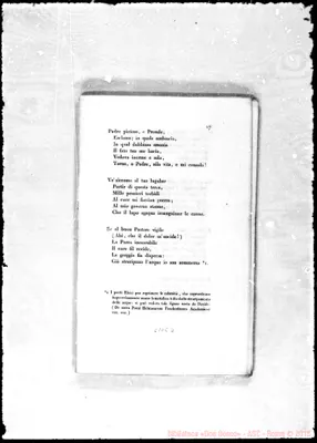 Fotogramma C 3