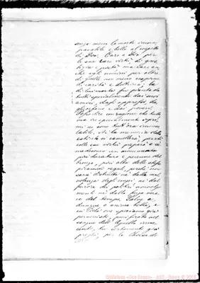 Fotogramma C 11