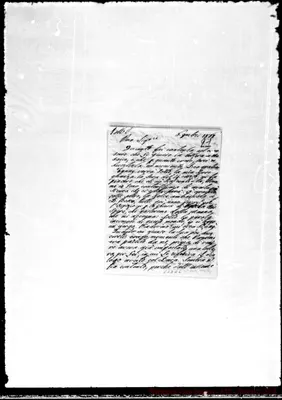 Fotogramma D 6
