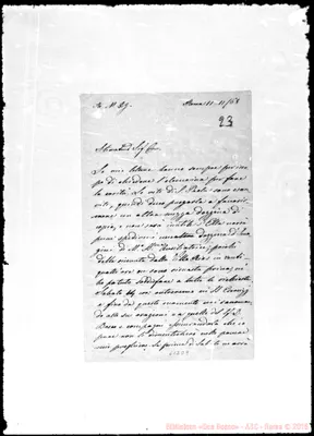Fotogramma D 9