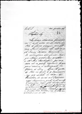 Fotogramma D 11