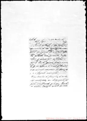Fotogramma E 8