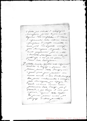 Fotogramma C 5