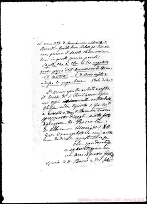 Fotogramma C 11