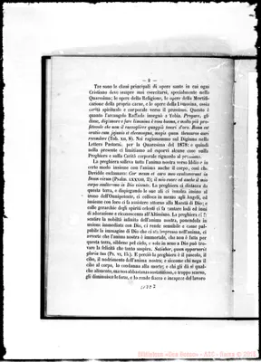 Fotogramma C 7