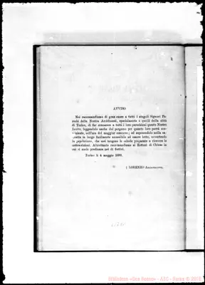Fotogramma D 11