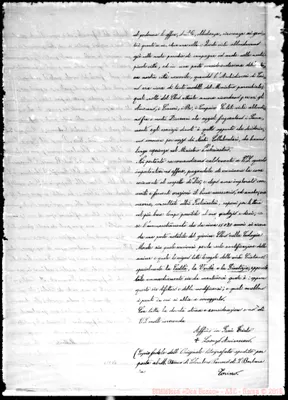 Fotogramma D 8