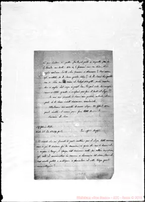 Fotogramma C 11