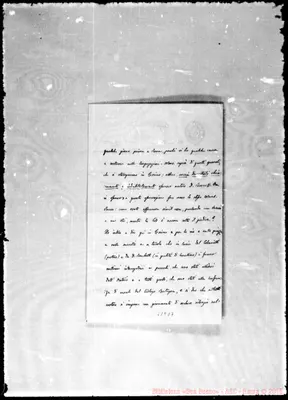 Fotogramma D 7