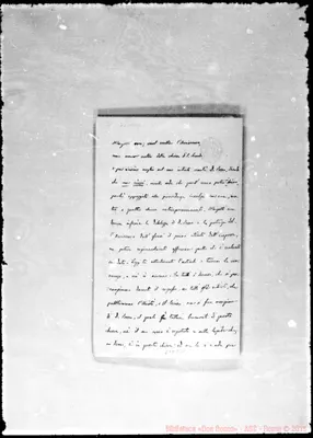 Fotogramma D 11