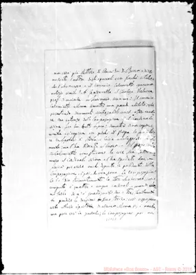 Fotogramma E 7