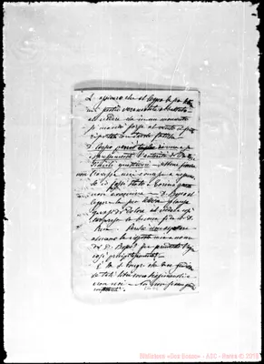 Fotogramma D 6