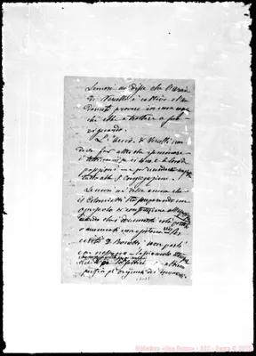 Fotogramma D 8