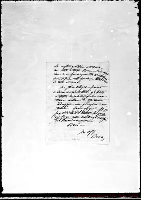 Fotogramma D 11