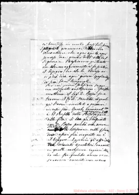 Fotogramma E 5