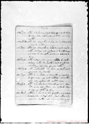 Fotogramma C 11