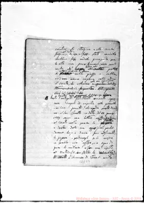 Fotogramma D 3