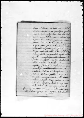 Fotogramma C 11