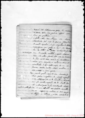 Fotogramma C 11