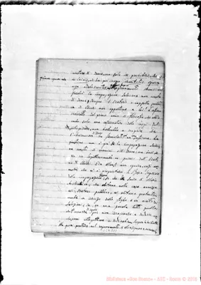 Fotogramma D 11