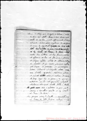 Fotogramma E 8
